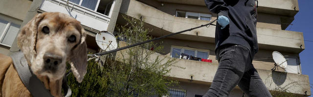 NOVE MERE VLADE: O parkovima, kladionicama, dokumentima