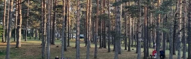 Oblačno jutro, pa sunčan dan – temperatura do 24 stepena