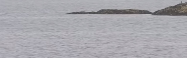 Isplivao dokaz! Postoji li čudovište iz Loh Nesa?