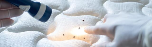 Francuska kinoteka zatvara svoje bioskope na mesec dana zbog pojave stenica