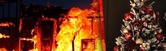 Sijalice na jelci napravile haos: Ako ovo ne piše na kutiji - Ne kupujte ih