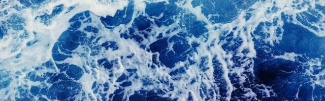 Snimak ČUDOVIŠTA iz mora zaprepastio ljude na mrežama: "Čovek se zapita šta još tamo dole postoji"