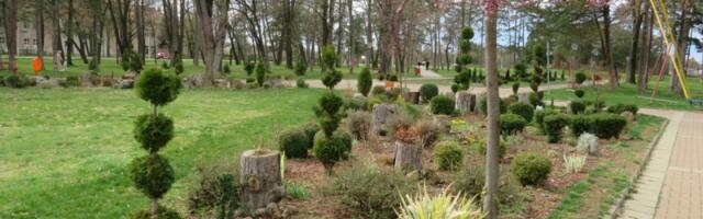 Vraćanje izvornog koncepta VELIKOM PARKU, projekat CVETNI TRG i šta još mogu da očekuju Kragujevčani na zelenim površinama u gradu