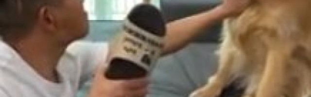 NA KOGA SI TI TO KRENUO?! E ovako se brane prijatelji!