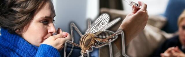 Batut: Potvrđen još jedan slučaj obolevanja od groznice Zapadnog Nila! Evo koliko ljudi je ukupno zaraženo!