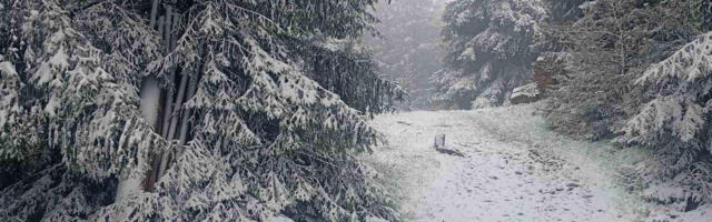 Brat i sestra se izgubili u šumi: Priča o Ivici i Marici iz Banjaluke potresla region, usledio filmski scenario!