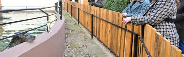 Maja Gojković u obilasku Zoo vrta na Paliću: Nakon navoda o pomoru životinja