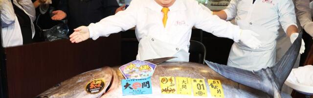 Japanac platio plavorepu tunu neverovatnih 2,7 miliona evra: Evo šta planira da uradi s njom