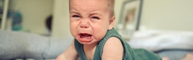 Ova beba je ljubomorna na mačku: Reakcija deteta nasmejala 4 miliona ljudi! (VIDEO)