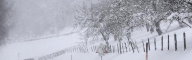 Cela Ivanjica od juče bez struje, veliki problemi i u Lučanima