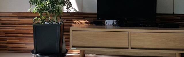 REM pozvao medije da 3. i 4. maja zatamne ekrane na po minut