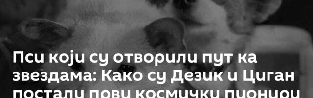 Пси који су отворили пут ка звездама: Како су Дезик и Циган постали први космички пионири