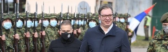 Ljubodrag Stojadinović: Trube i gusenice