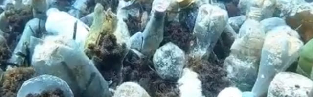 Pogledajte koliko je zagađeno more u Konavlima (VIDEO)