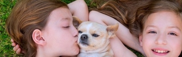 Svako prosečno dete želi kućnog ljubimca pre punoletstva
