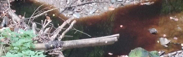 Da (ne) dišemo Duboko: „Turski potok je ekološki mrtav, ko treba Užičane o tome da obavesti?“