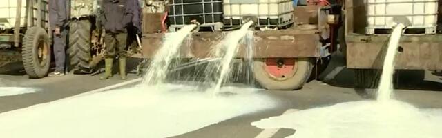 STOČARI – PROIZVOĐAČI MLEKA BLOKIRALI IBARSKU MAGISTRALI U MRČAJEVCIMA