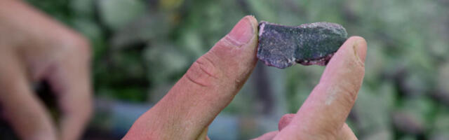 Откриће у Румунији: нова врста диносауруса „са пачјим кљуном”