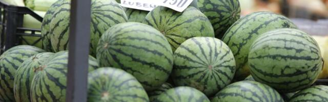 Nedeljkovi su agronomi po struci, prodaju "slatku malu iz Kaća": Na tezgi im se smejali zbog veličine lubenice