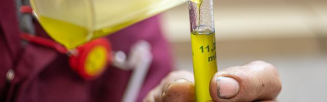 Eksperiment sa maslinovim uljem otkrio zašto bi deo arheoloških nalaza mogao biti pogrešno protumačen