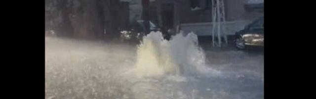 Gejzir nasred ulice: Zemun pod vodom (VIDEO)