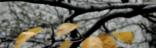 Danas je najdepresivniji dan u godini 