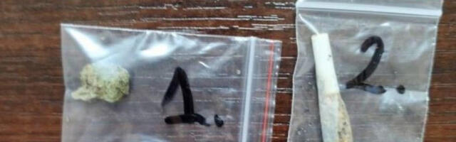 PAO DILER I KUPCI Prodao marihuanu devojci i momku, pa su skupa uhapšeni