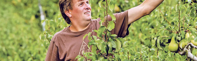 И даље низак ниво осигурања у пољопривреди