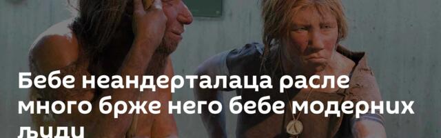 Бебе неандерталаца расле много брже него бебе модерних људи