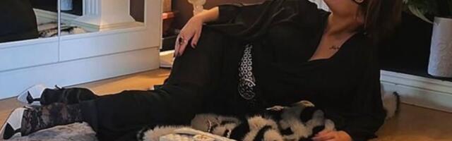 Ovako sada izgleda stan koji je renovirala Ana Nikolić od 500.000€: Uložila ogromne pare, sad legla na pod