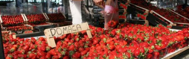 NOĆNI MARKET U BEOGRADU! Kalenić pijaca domaćin 27. manifestacije!