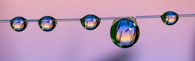 Dnevni horoskop za 16. decembar: Blizancima se možda menjaju planovi, Lavovi da iskoriste trenutak