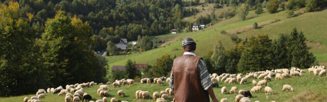 Ostrvo na kom živi samo 3 osobe nudi posao iz snova! Smeštaj je besplatan, a satnica... Nazivaju ga "VRATIMA RAJA"