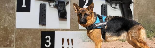 Službeni pas nanjušio oružje: Nastavljena velika akcija policije, neverovatno šta je nađeno (FOTO)