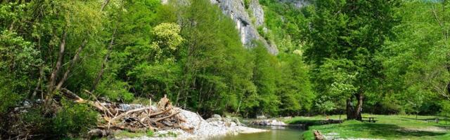 Na sat i po od Beograda: Reka čija smaragdna boja oduzima dah