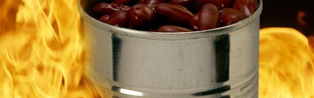 Namirnice u konzervi nisu samo rezervna opcija