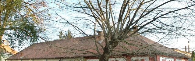 191 godina od donošenja PRVOG USTAVA: Sretenjska akademija u Staroj skupštini