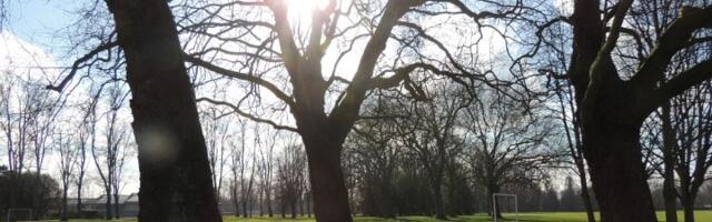 Stižu letnje temperature: Ovaj dan doneće Srbiji ČAK 30 stepeni