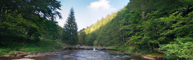 Porast turizma u Srbiji u januaru 2025: Više od 288.000 turista i 962.000 noćenja