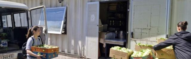 Poljoprivredno-veterinarska škola iz Rekovca donirala 1.000 glavica zelene salate Narodnoj kuhinji kragujevačkog Crvenog krsta