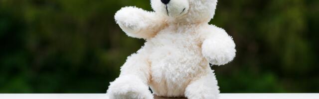 AI plišani meda vodio seksualno eksplicitne razgovore sa decom: Igračka hitno povučena sa tržišta