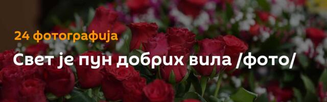 Свет је пун добрих вила /фото/