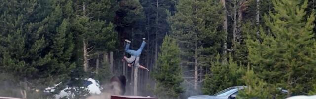 (VIDEO) Gore mreže! Izazivao opasnu divlju životinju, pa leteo dva metara u vazduh: Ljudi, da li je ovo moguće?
