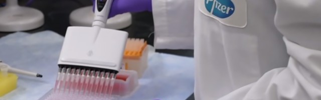 U Srbiju stiglo još 11.700 Fajzerovih vakcina