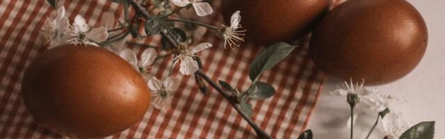 KAKO JE PRAVILNO? Hristos vaskrse, voskrese i vaskrese?