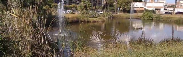 HAOS U RIMU! MIGRANTI PROVALILI U AUTOMOBIL, PA SILOVALI DEVOJKU: Na sve to, njen verenik je morao da posmatra zločince