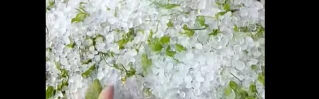 Nevreme pogodilo BiH: Grad veličine lešnika, ljudi bez struje (VIDEO)