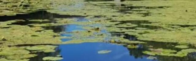 Na ovoj plaži koja se nalazi na sat vremena od Beograda kafa košta 100 dinara: Mnogi nikada nisu ni čuli za nju