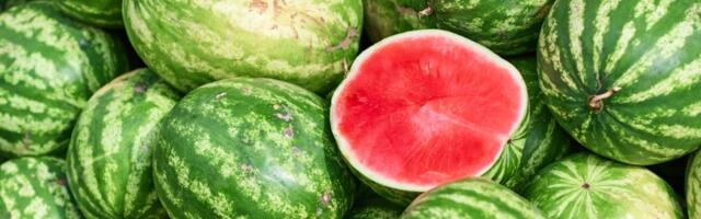 Trikovi kako da izaberete najbolju lubenicu