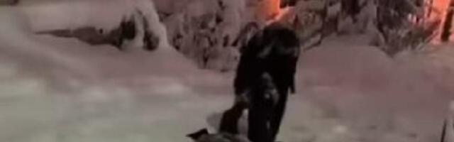 KAKO BOSANAC SPUŠTA TRUDNICU NIZ ZAVEJANO BRDO? Snimak iz Sarajeva nasmejao region - PAROLA, SNAĐI SE! (VIDEO)